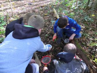 Kinder untersuchen Waldboden